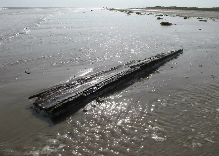Texelduinen59 Feriehus De Koog (Texel)