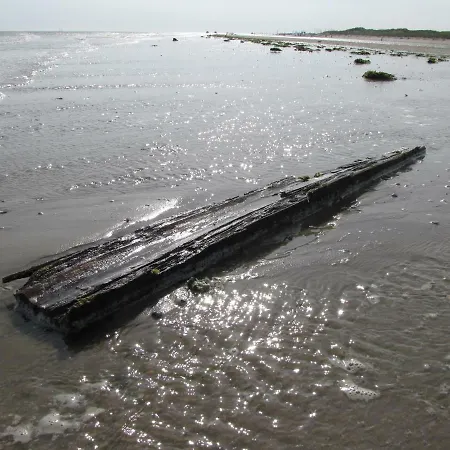 Texelduinen59 펜션 데쿠크